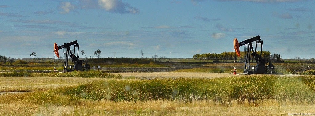 [DSC_0034%255B3%255D.jpg]