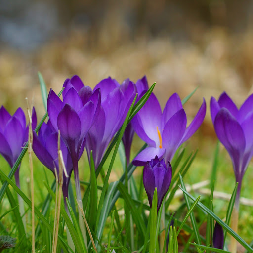 Hd-165396-ascw165396