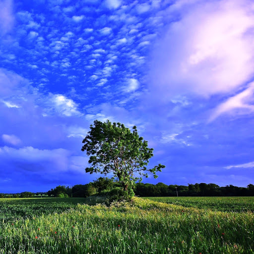 Hd-146335-ascw146335