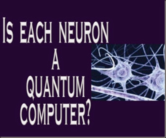 neuron-computer