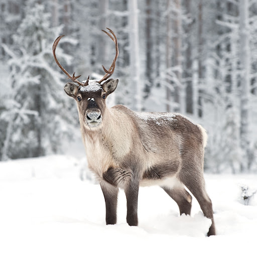 Hd-164685-ascw164685