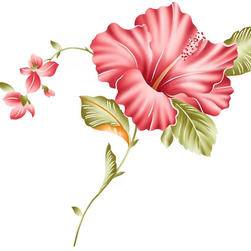 Hd-148120-ascw148120