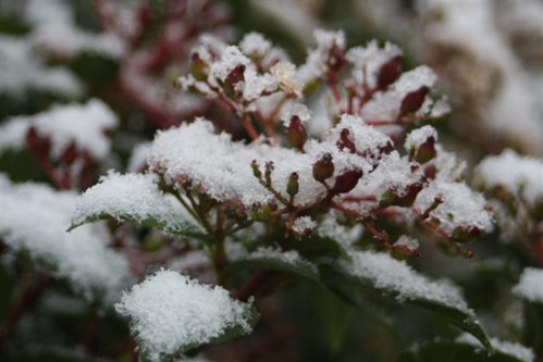 20081123 (1) (Small)