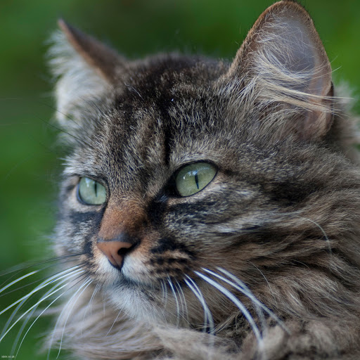 Hd-161105-ascw161105