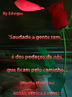 petalarosasversosevinhoedvigesn.gif