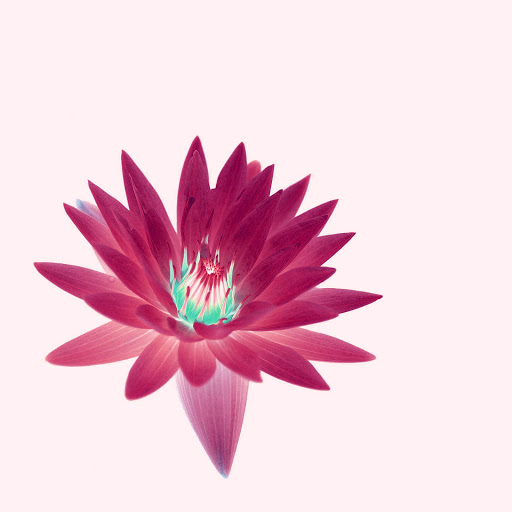 Hd-163176-ascw163176