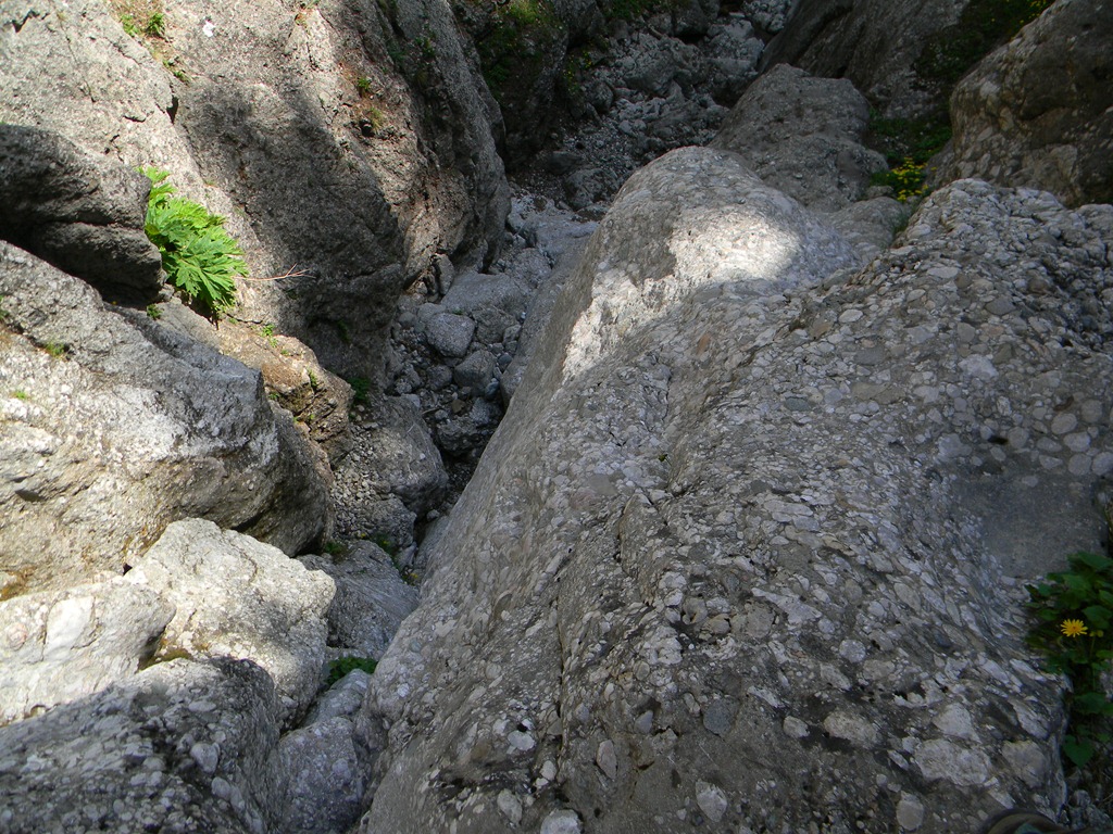 [DSCN32093.jpg]