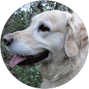 Baptiste S. profile picture