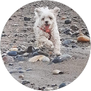 Barbara Cullen profile picture