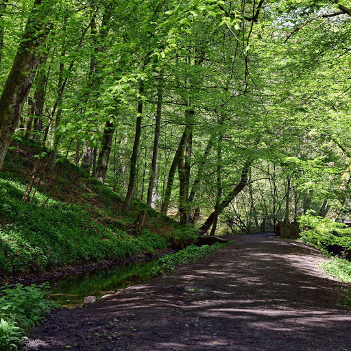 Hd-156484-ascw156484