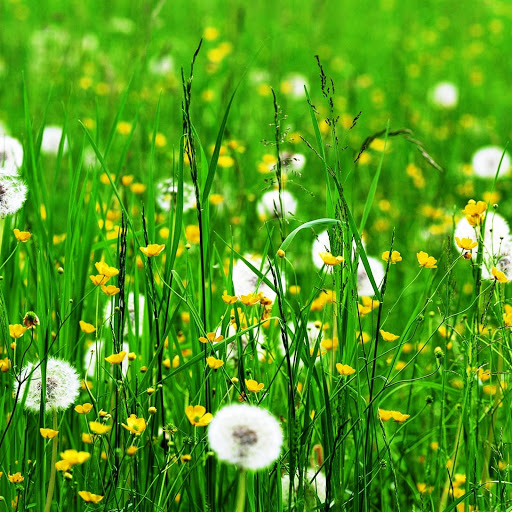 Hd-146177-ascw146177