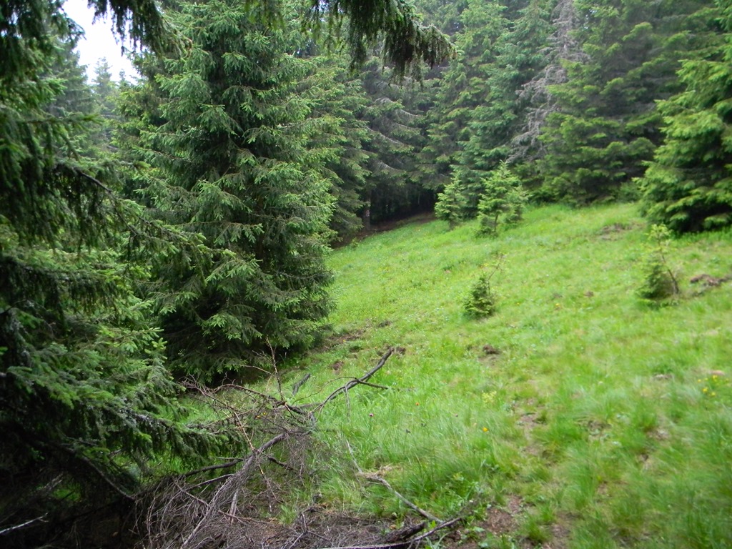 [DSCN38063.jpg]