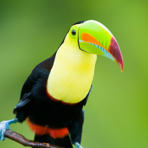 Hd-173110-ascw173110