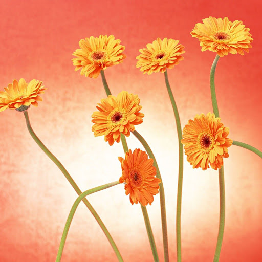 Hd-139705-ascw139705