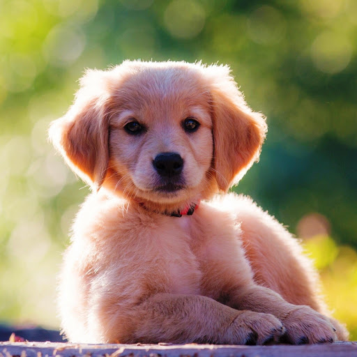 Hd-148449-ascw148449