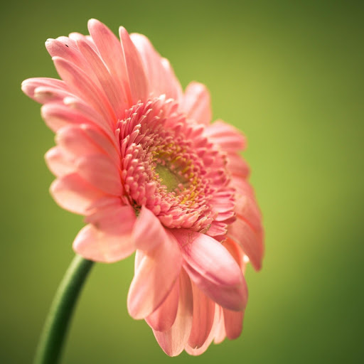 Hd-177231-ascw177231