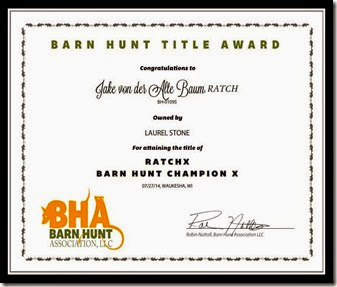 RATCHX Jake Barn Hunt  Certificate