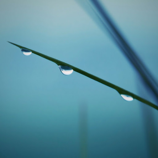 Hd-141842-ascw141842