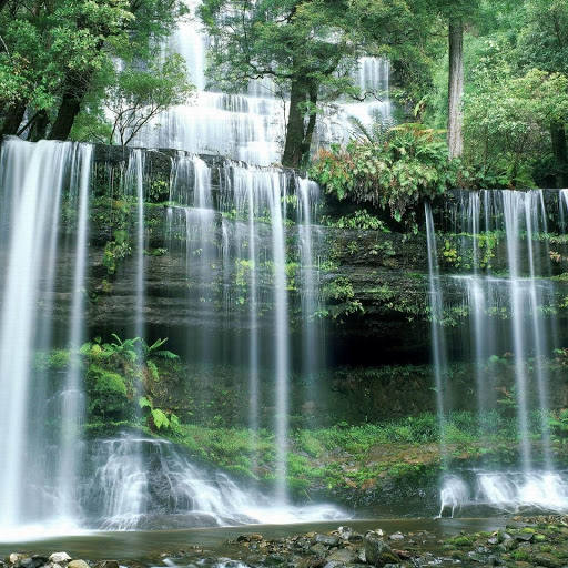 Hd-161129-ascw161129