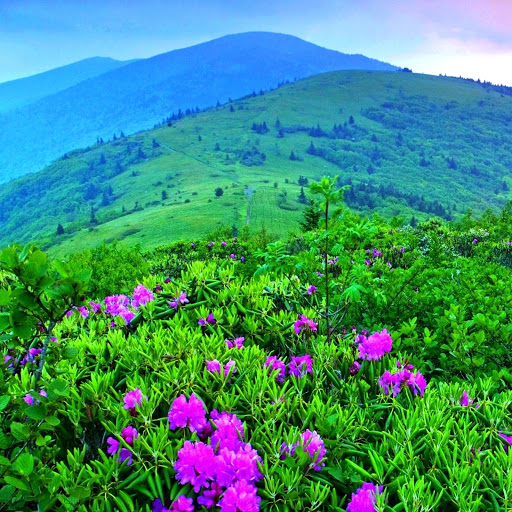 Hd-142724-ascw142724