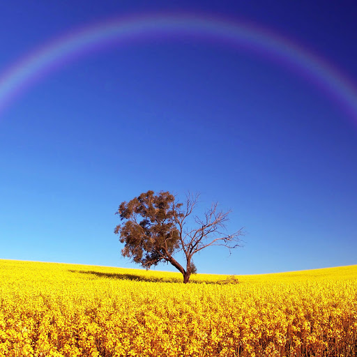 Hd-182037-ascw182037