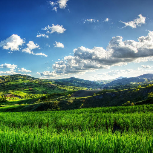 Hd-151505-ascw151505