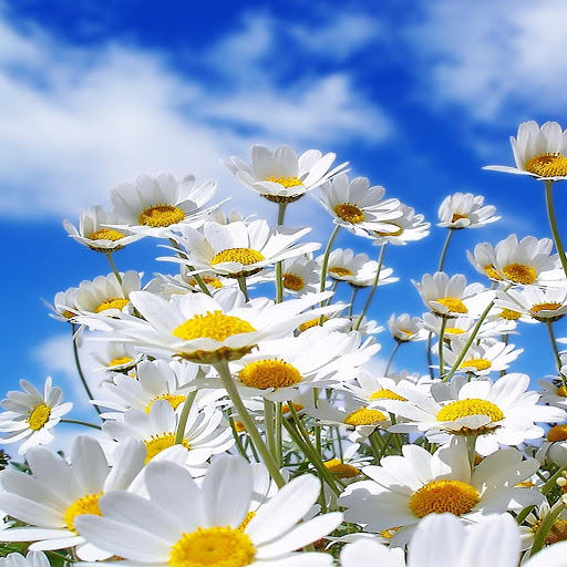 Hd-167872-ascw167872