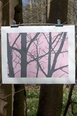 paul-farrell-limited-edition-tree-series-2096-p
