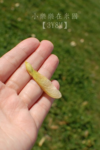 [DSC_2315-%255B3%255D.jpg]