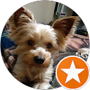 Jim Pell profile picture