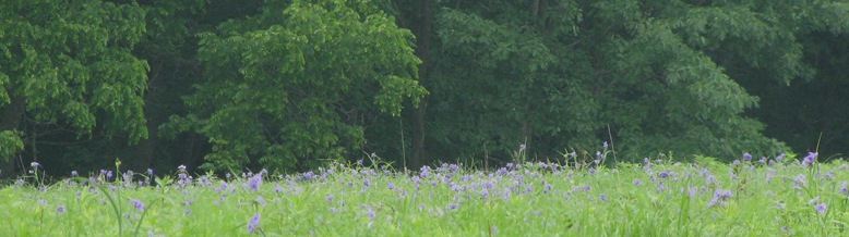 June 20, 2011 Effigy Mounds & Pikes Peak cropped