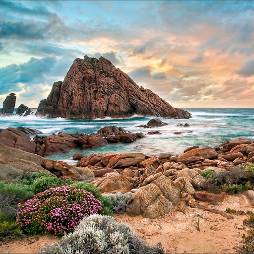 Hd-142007-ascw142007