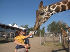 IMG_8659 IMG_8659