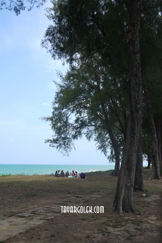 [P10106672.jpg]