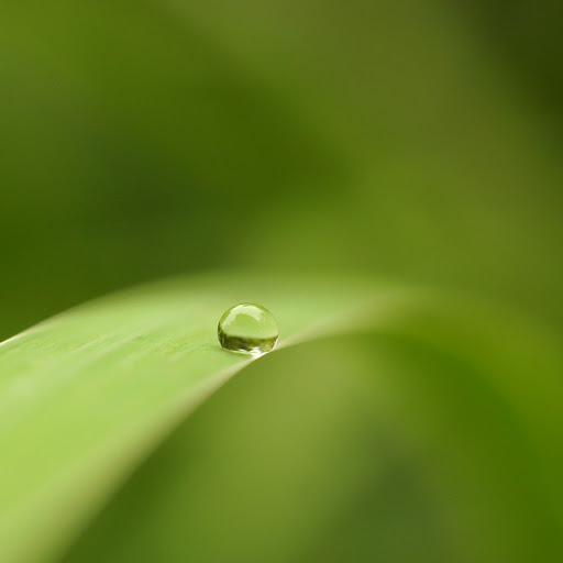 Hd-145693-ascw145693