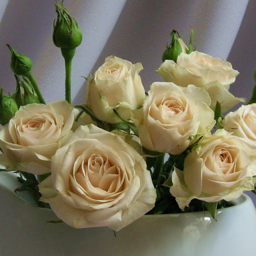 Hd-146412-ascw146412