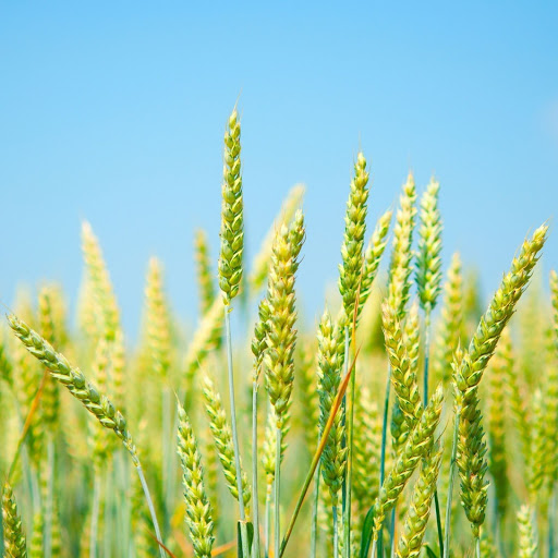 Hd-149430-ascw149430