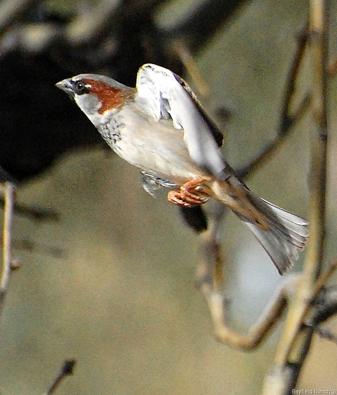 [DSC_2308%255B4%255D.jpg]