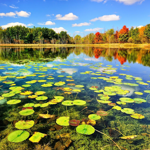 Hd-146371-ascw146371