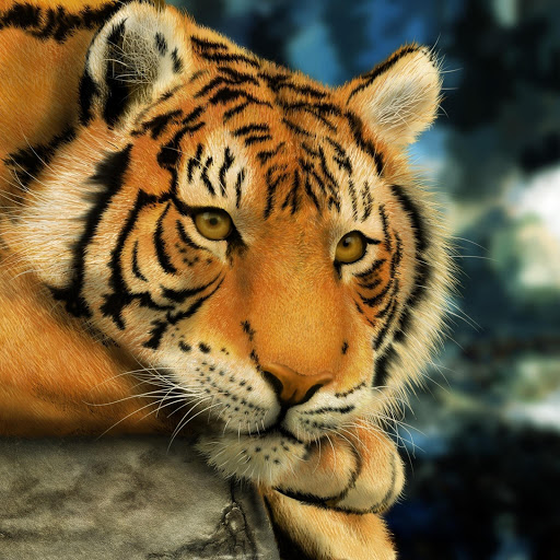 Hd-163040-ascw163040