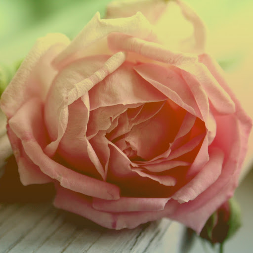 Hd-158973-ascw158973