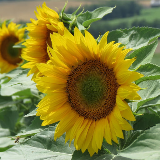 Hd-164648-ascw164648