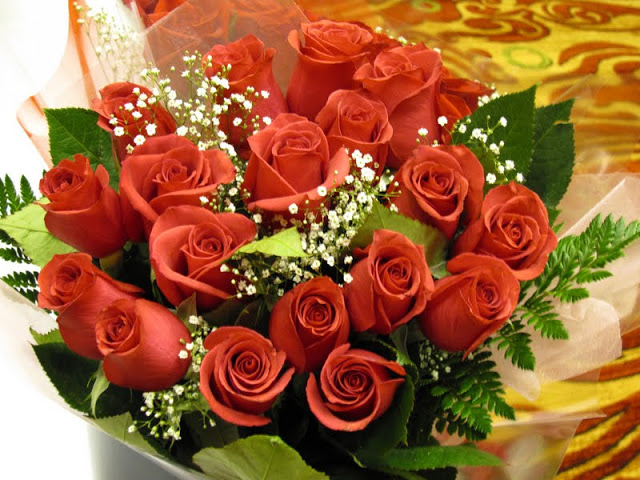 rosa5.jpg