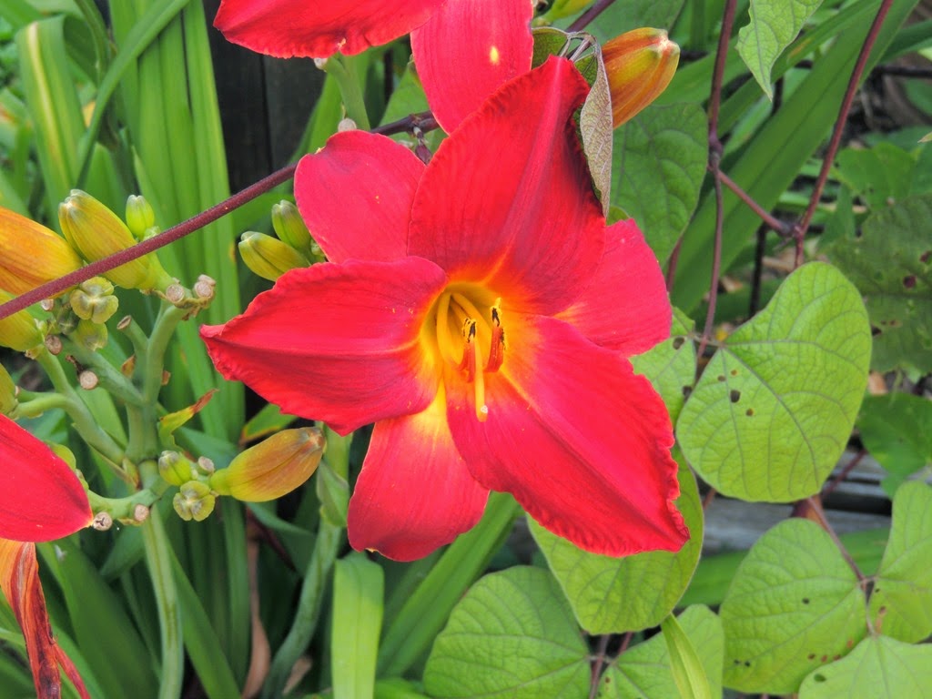 [DSCN9677%255B3%255D.jpg]