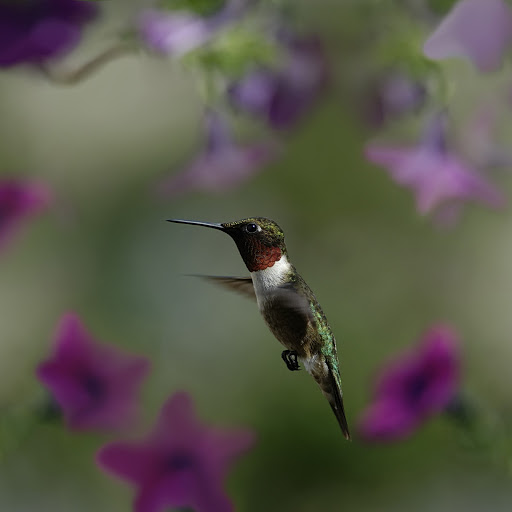 Hd-145042-ascw145042