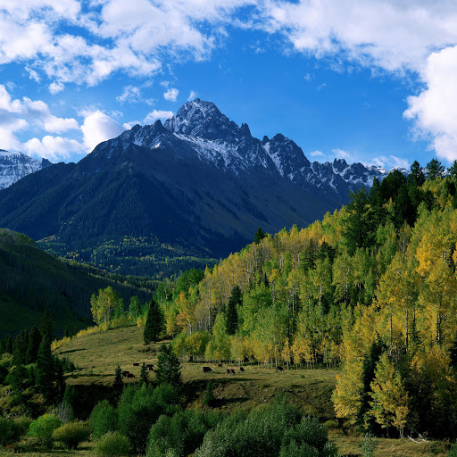 Hd-185054-ascw185054