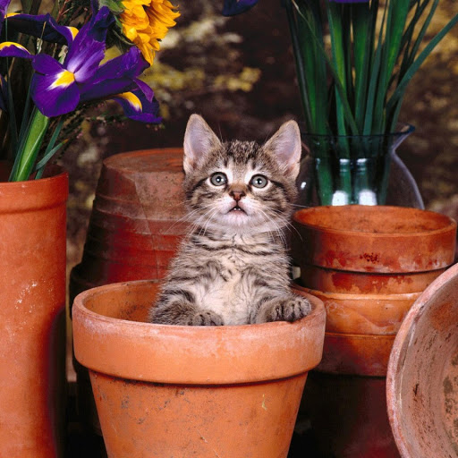 Hd-178174-ascw178174