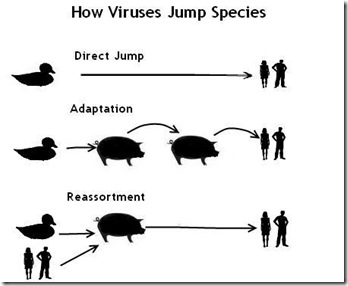 Zoonotic Jump