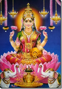Lakshmi Devi amidst lotus flowers