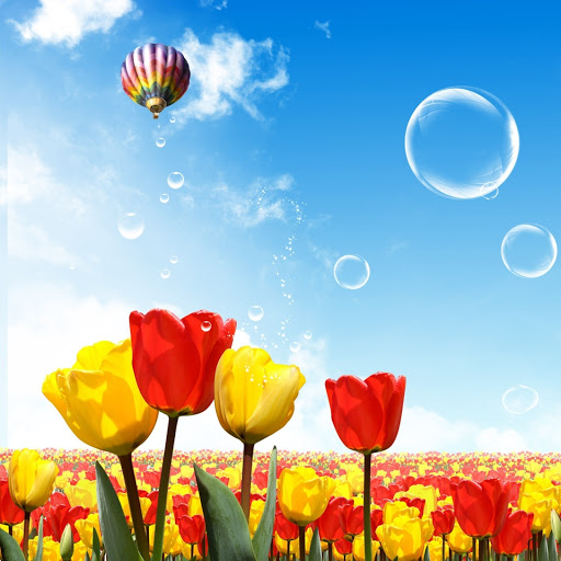 Hd-140308-ascw140308